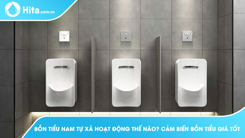 Bồn tiểu nam tự xả hoạt động thế nào? cảm biến bồn tiểu giá tốt